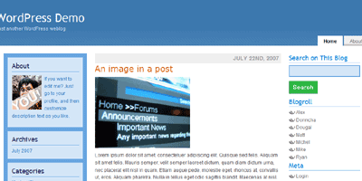 wptheme4